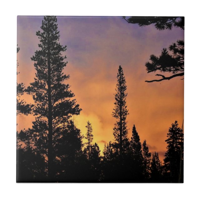 Azulejo Atardecer en Tuolumne Meadows, Yosemite, CA (Frente)