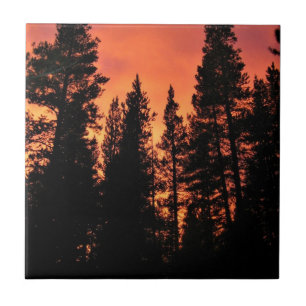 Azulejo Atardecer en Tuolumne Meadows, Yosemite, CA