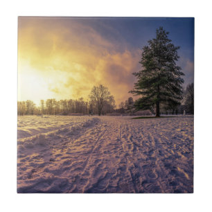 Azulejo Atardecer sobre el nevado parque invernal