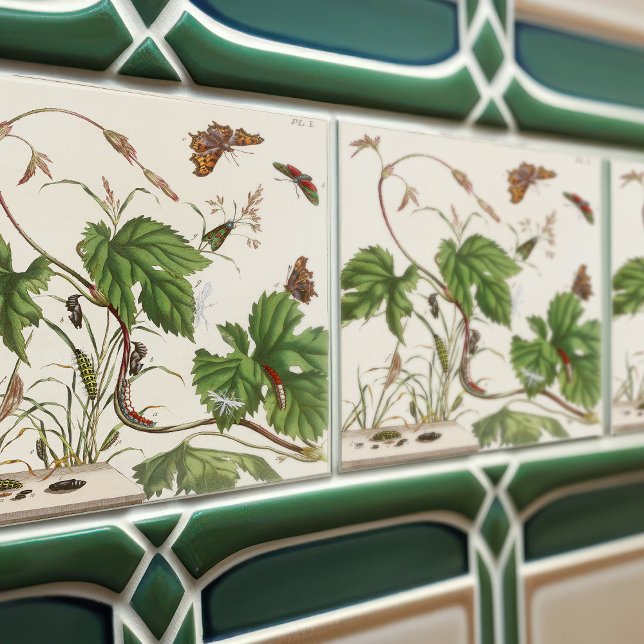 Azulejo Atlas de plantas e insectos botánicos vintage (Subido por el creador)