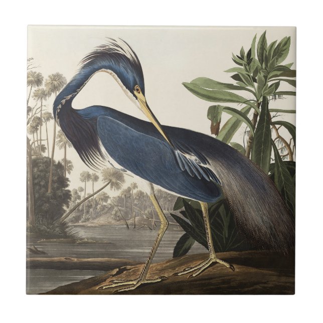 Azulejo Audubon Louisiana Heron Birds of America Art Print (Frente)