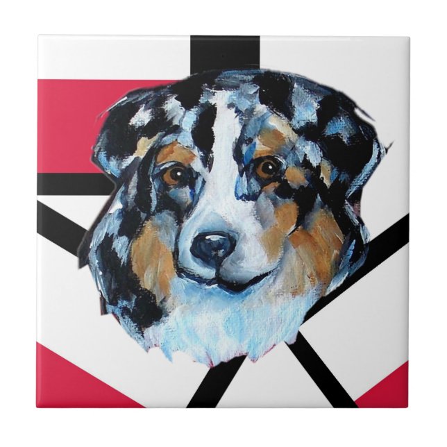 AZULEJO AUSTRALIAN SHEPHERD (Frente)