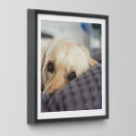 Azulejo Autoadhesivo Fácil Crear Su Fotografía Personalizada<br><div class="desc">¿Cansado de muros aburridos e impersonales? Eleva tu espacio con fichas fotográficas personalizadas de Ricaso Peel y palo para Personalizar de instalación fácil con tu foto favorita Transformar cualquier habitación en una galería personal Personaliza tu espacio de vida con los recuerdos que más importan. Easy Create Your Personalized Photo Tiles...</div>