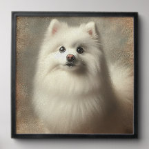 Perro Esquimal Americano