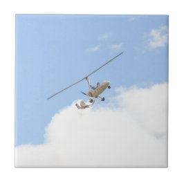 Azulejo Autogiro en vuelo