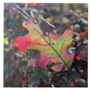 Azulejo Autumn Leaves Cerámica Tile