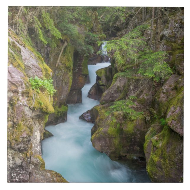 Azulejo Avalanche Creek, Parque Nacional Glacier, Montana (Frente)