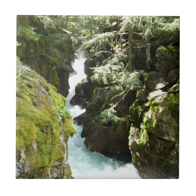 Azulejo Avalanche Gorge II en el Parque Nacional Glacier (Frente)