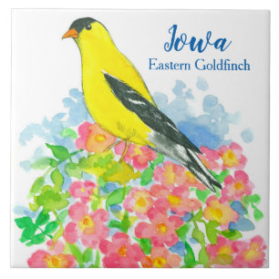 Azulejo Ave del estado de Goldfinch, en el este de Yowa