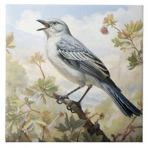 Azulejo Ave Mockingbird del norte, pájaro cantante