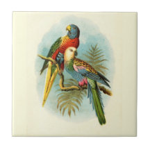 AVE TROPICAL PARROT 10