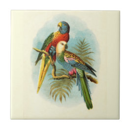 AZULEJO AVE TROPICAL PARROT 10
