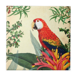 AZULEJO AVE TROPICAL PARROT 8