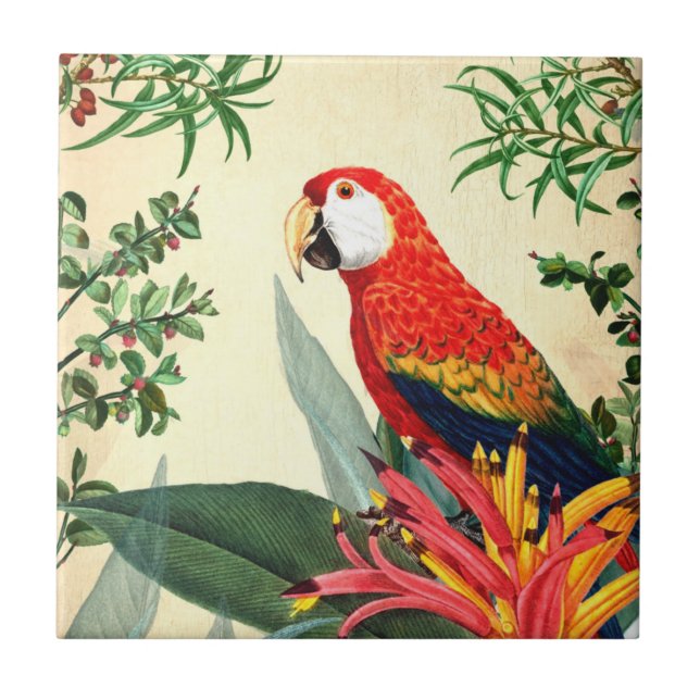 AZULEJO AVE TROPICAL PARROT 8 (Frente)