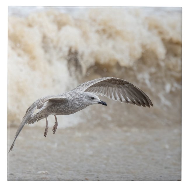 Azulejo Ave Volando (Frente)