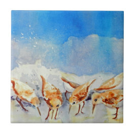 Azulejo Aves acuáticas