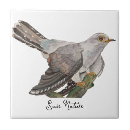 Azulejo Aves de bosque acuáticas