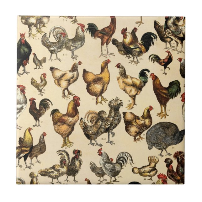 Azulejo Aves de corral Rooster y Hen Art (Frente)