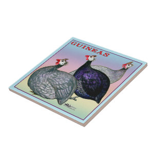 Azulejo Aves de Guinea tres