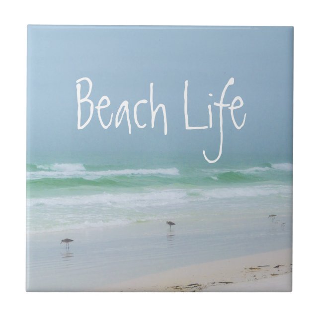 Azulejo Aves de playa azul acuático (Frente)