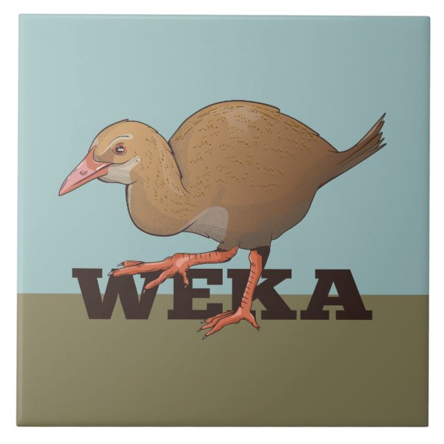 Azulejo Aves de Weka Nueva Zelanda (Frente)