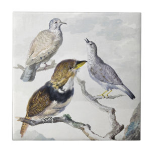 Azulejo Aves en Rama Arte Tono Neutral Elegante