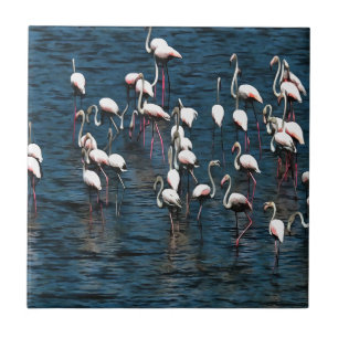 Azulejo Aves flamencas en rosa y blanco en azul de Inkwell
