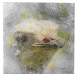 Azulejo avestruz animal artístico