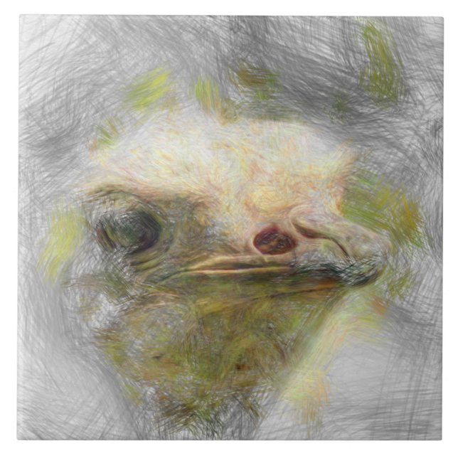 Azulejo avestruz animal artístico (Frente)