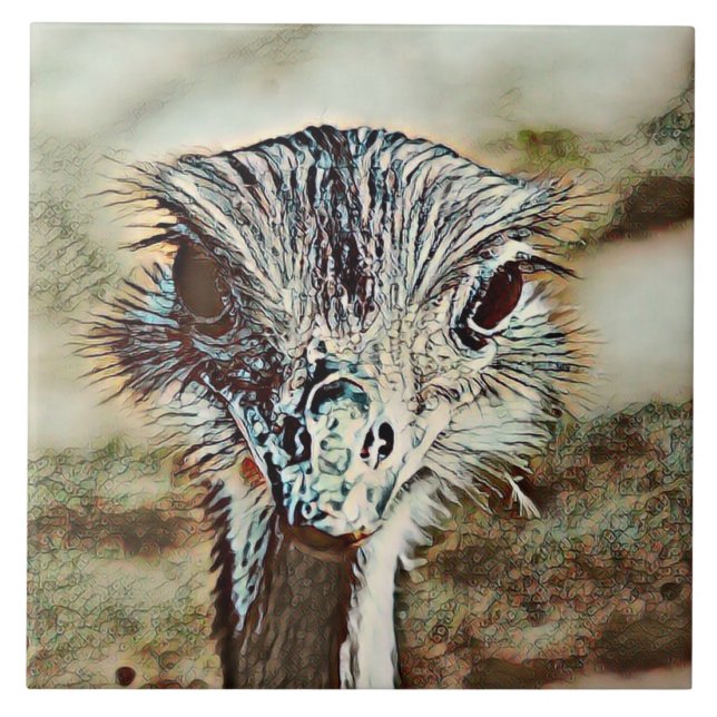 Azulejo avestruz de toony (Frente)