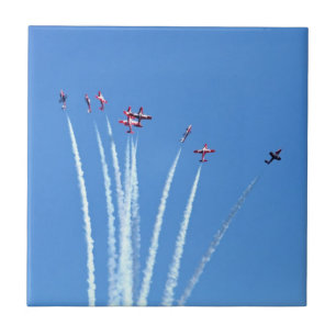 Azulejo Aviones canadienses de los Snowbirds