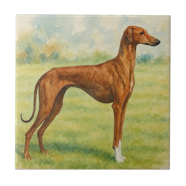 Azulejo Azawakh (Frente)