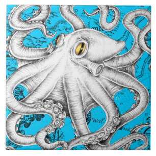 Azulejo Azul del mapa pintado de pulpo blanco
