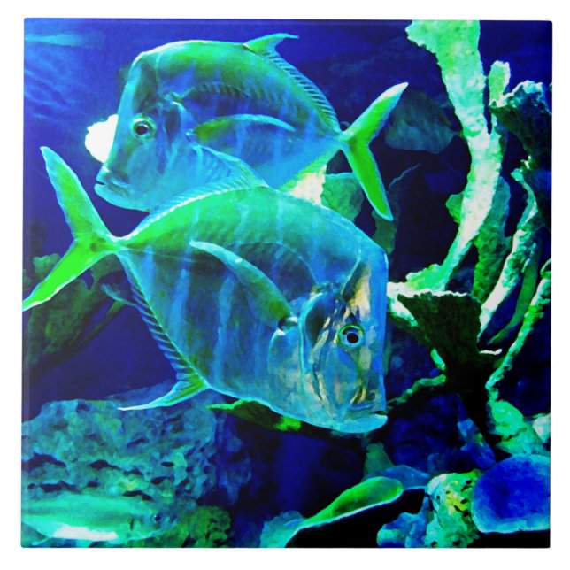 Azulejo Azul marino (Frente)