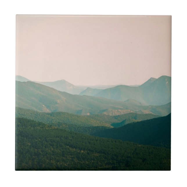 Azulejo Azul por las montañas (Frente)