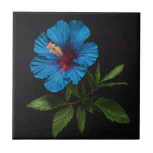 Azulejo "Azul radiante: Flor hibiscus sobre negro