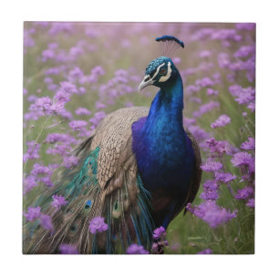Azulejo Azul Real: Pavo Real Azul En Campo De Lavanda,