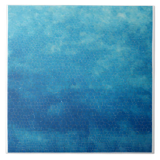 Azulejo Azul y blanco