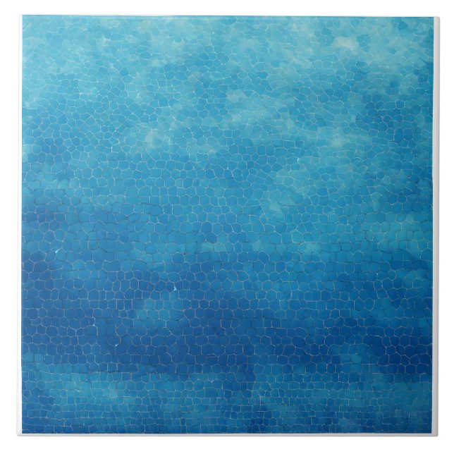 Azulejo Azul y blanco (Frente)