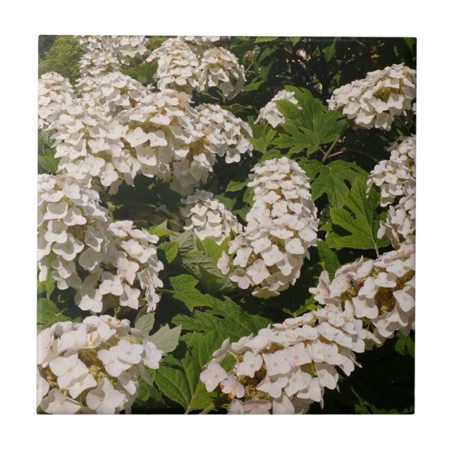 Azulejo Azuleaf Hydrangea Cerámica (Frente)