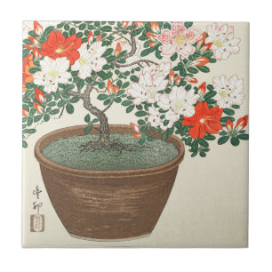 AZULEJO AZULEJO: OHARA KOSON : AZALEAS