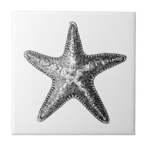 AZULEJO AZULETE CERAMICA DE SEALIFE "STARFISH"