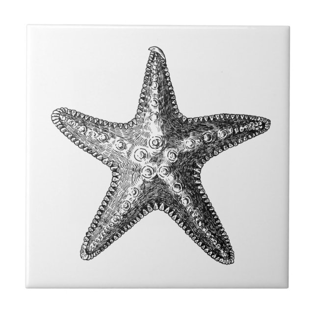 AZULEJO AZULETE CERAMICA DE SEALIFE "STARFISH" (Frente)