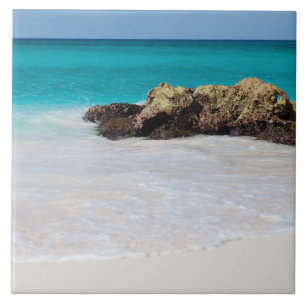 Azulejo Azure Ocean Sandy Beach Photo