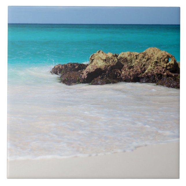 Azulejo Azure Ocean Sandy Beach Photo (Frente)