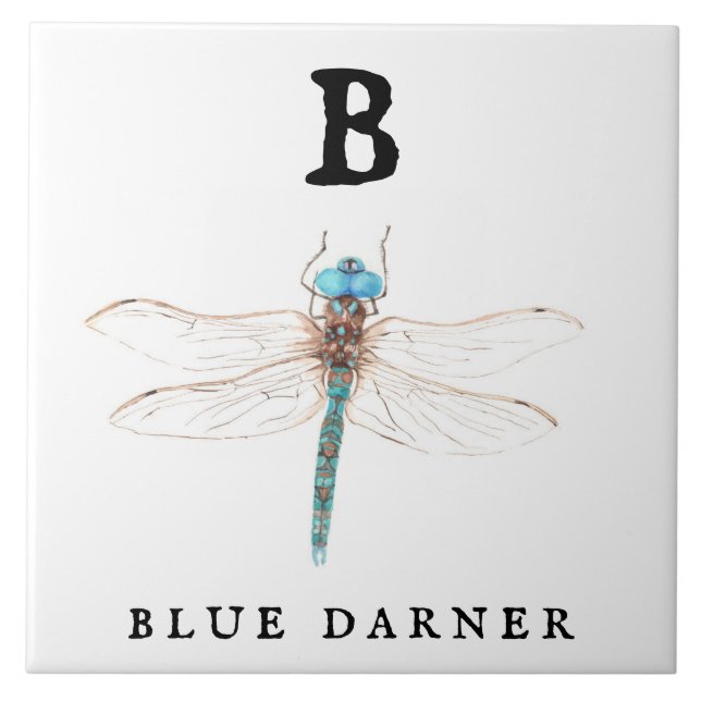 Azulejo "B" Blue Darner (Frente)