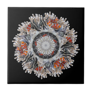 Azulejo B&W con payaso 30 x 30