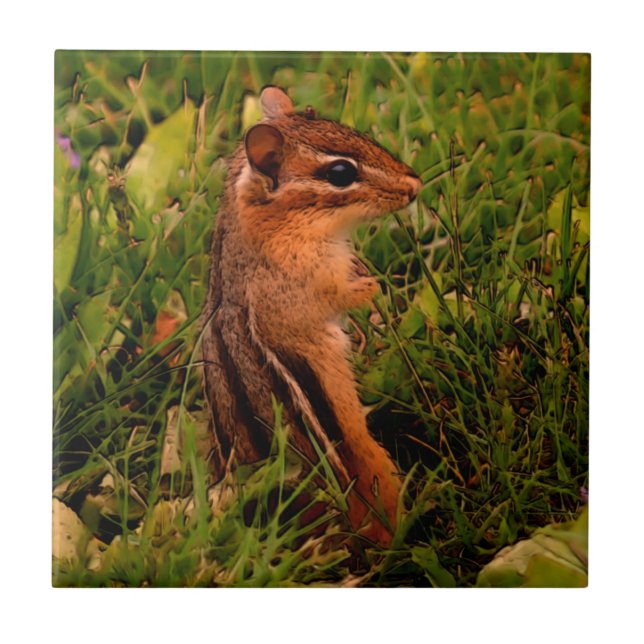 Azulejo Baby Chipmunk Animal Art (Frente)