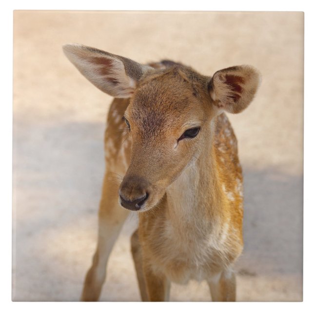 Azulejo Baby Deer (Frente)