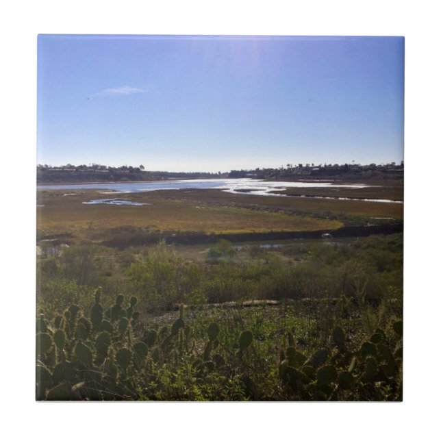 Azulejo Back Bay, Newport Beach, California (Frente)